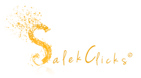 salek clicks logo resized